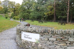 Aira Force - dog walk in Cumbria
